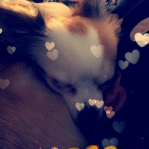 Meet your Posher, Daniela